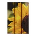 Ricki&Aposs Rugs 16 x 24 in. Yellow Sunflower Inside & Outside Cedar Wall Art RI272791